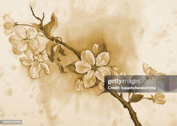 illustration watercolor landscape flowering apple tree branch in sepia - sepia toned background stock illustrations