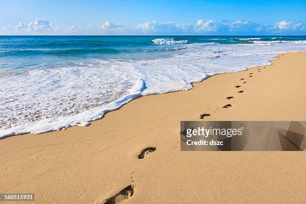 sand, footprints, pacific ocean surf,  tropical beach, kauai, hawaii - footprint stock pictures, royalty-free photos & images