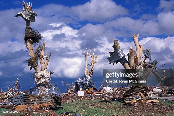 Debris wrapped around debarked trees at around 2219 Indiana Ave in Joplin, Missouri, May 25, 2011. This was shot across the street from the destroyed...