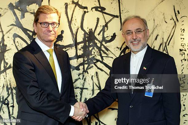 German Foreign Minister Guido Westerwelle and Iranian Foreign Minister Ali Akbar Salehi shake hands before a bilateral meeting on day 2 of the 49th...