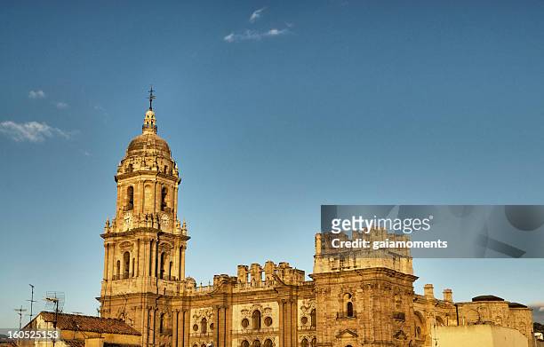 malaga cathedral - cathedral stock pictures, royalty-free photos & images
