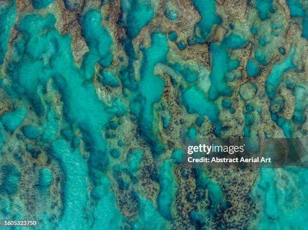 rock formations in the ocean at low tide photographed from a drone point of view, perth, western australia, australia - kust karakteristiek stockfoto's en -beelden