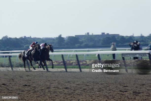 Affirmed, ridden by Steve Cauthen, moves ahead of Alydar and Jorge Velasquez to win the Belmont Stakes and racing's coveted Triple Crown, New York,...