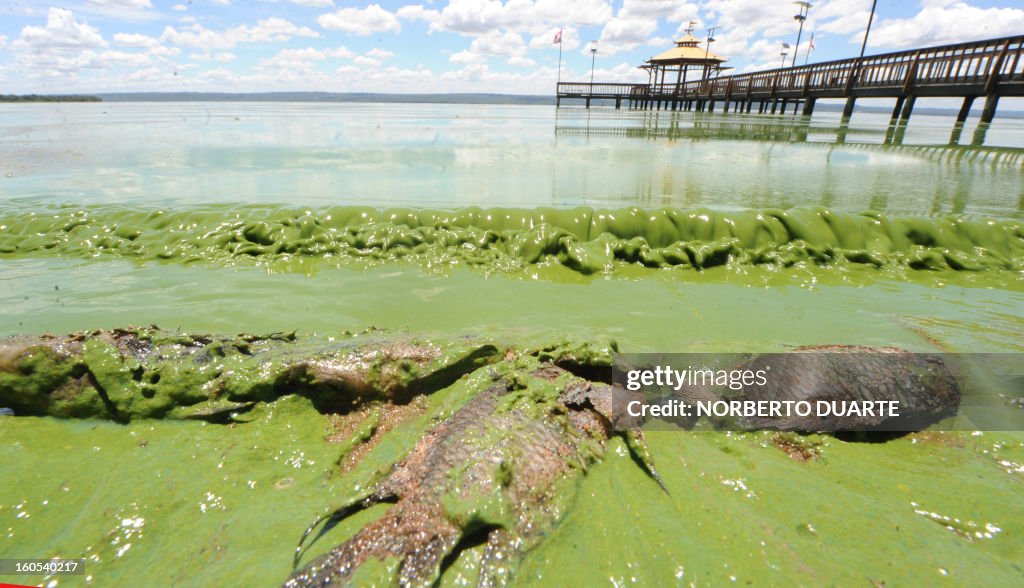 PARAGUAY-YPACARAI LAKE-THEME-POLLUTION