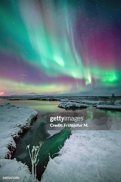 the colors of aurora - aurora stock pictures, royalty-free photos & images