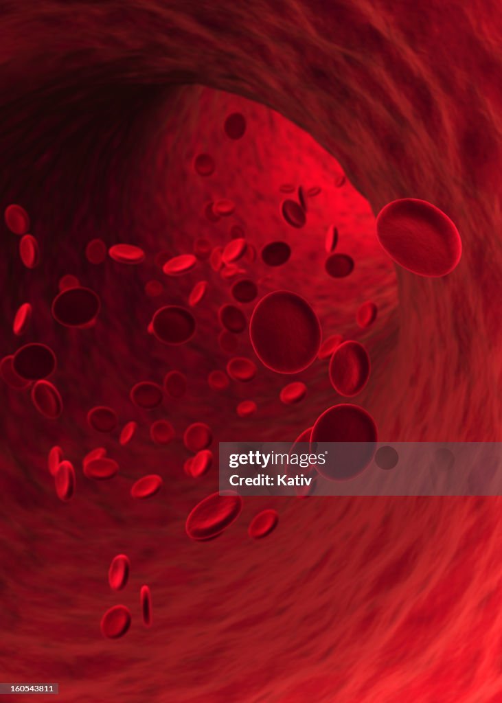 Blood Cells (XXXL)