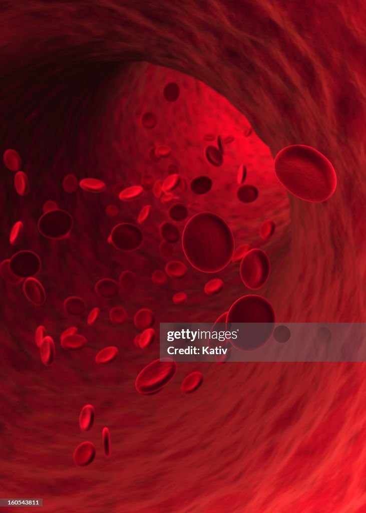 Blood Cells (XXXL)