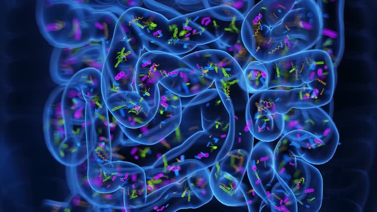 Normal Flora Animation 297 Flora Intestinal Stock Videos, Footage, & 4K Video Clips - Getty Images