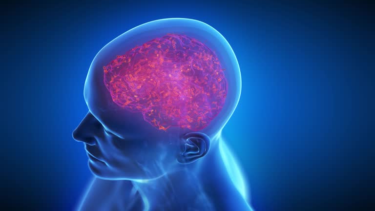 Inflamd 147 Inflamed Brain Stock Videos, Footage, & 4K Video Clips - Getty Images