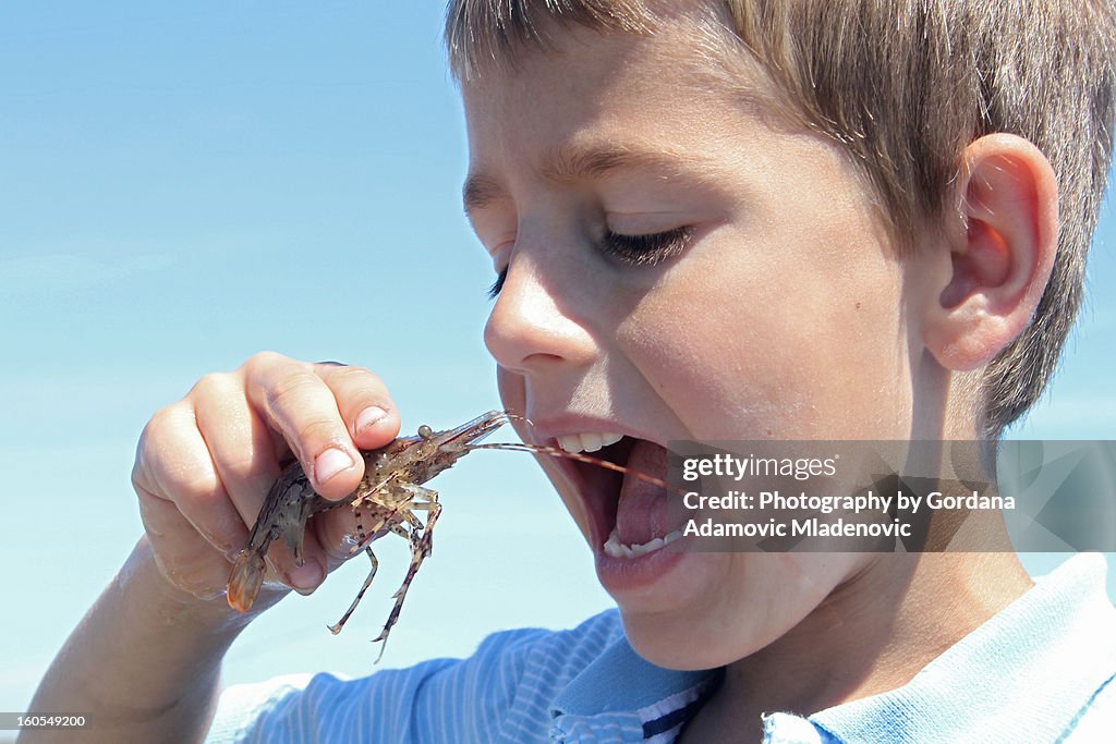 Boy pretends to eat live shrimp