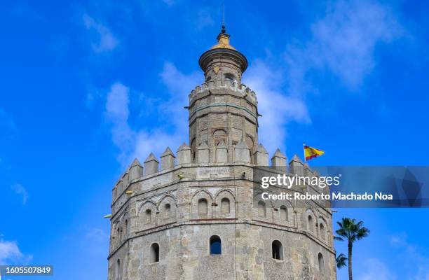 tower of gold seville - torre del oro stock pictures, royalty-free photos & images