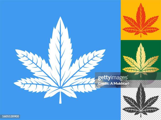 cannabis leaf icon. - marijuana vector stock illustrations