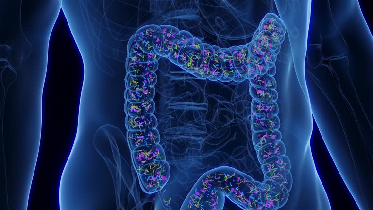 Normal Flora Animation 298 Flora Intestinal Stock Videos, Footage, & 4K Video Clips - Getty Images