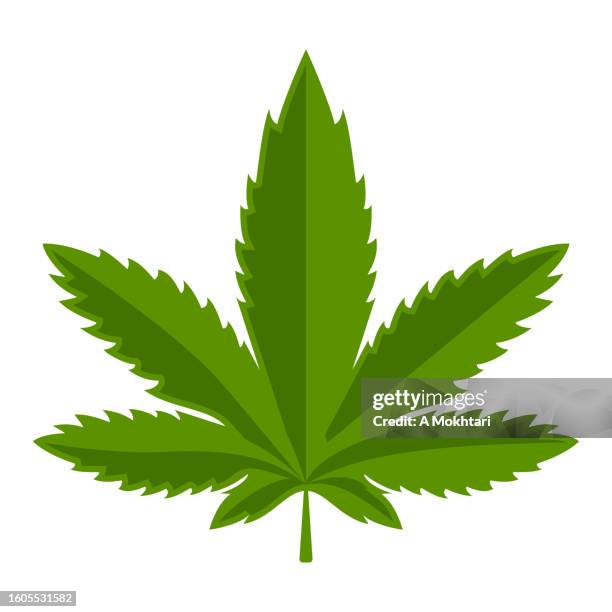 ilustraciones, imágenes clip art, dibujos animados e iconos de stock de icono de hoja de cannabis. - marihuana hierba de cannabis