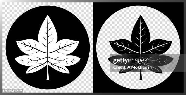maple leaf icon. - maple leaf stock illustrations