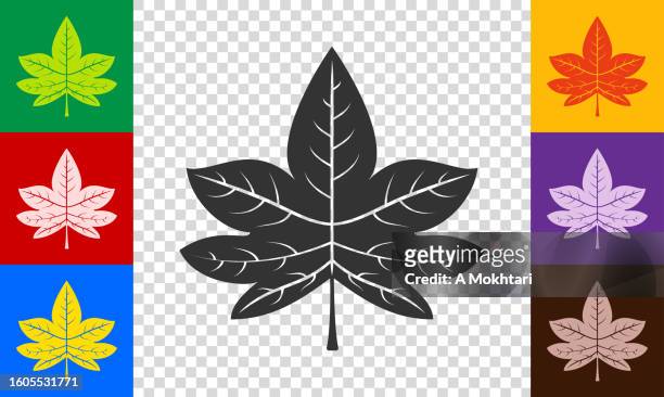 maple leaf icon. - maple leaf logo stock illustrations