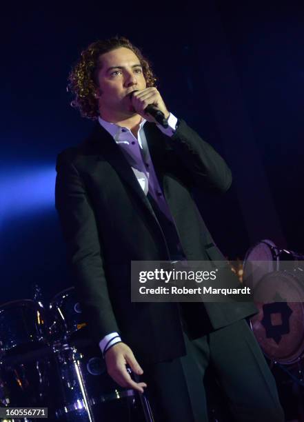 David Bisbal performs on stage at the Palau Sant Jordi on February 2, 2013 in Barcelona, Spain.