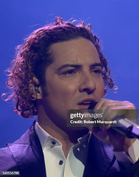 David Bisbal performs on stage at the Palau Sant Jordi on February 2, 2013 in Barcelona, Spain.