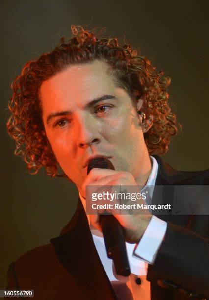 David Bisbal performs on stage at the Palau Sant Jordi on February 2, 2013 in Barcelona, Spain.