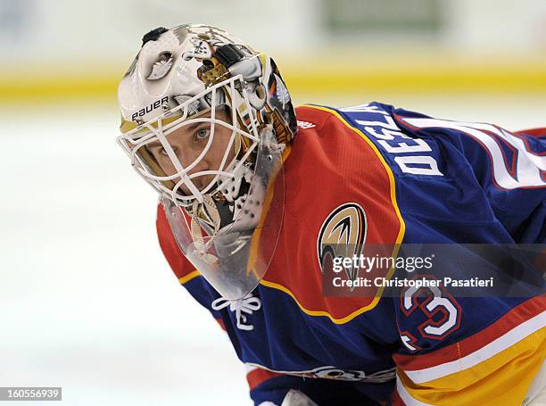 Jeff Deslauriers of the Norfolk Admirals looks on prior to an American Hockey League game against the Bridgeport Sound Tigers on February 2, 2013 at...