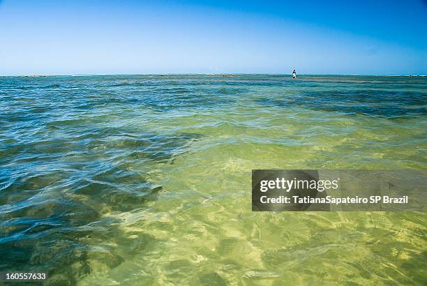 praia do satú - porto seguro stock pictures, royalty-free photos & images