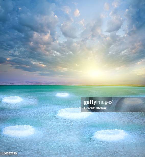 salz aus dem toten meer und kleine inseln. gesunde see mit sonnenuntergang. - totes meer stock-fotos und bilder