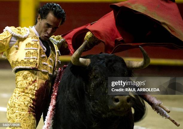 Spanish bullfighter Ivan Fandino performs during a bullfight at La Macarena bullring on February 2, 2013 in Medellin, Antioquia deparment, Colombia....