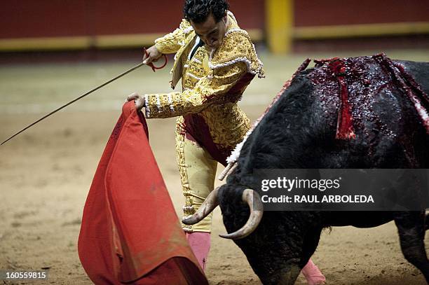 Spanish bullfighter Ivan Fandino performs during a bullfight at La Macarena bullring on February 2, 2013 in Medellin, Antioquia deparment, Colombia....