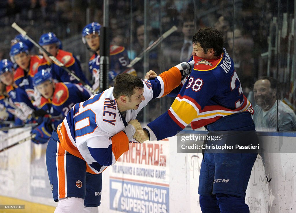 Norfolk Admirals v Bridgeport Sound Tigers