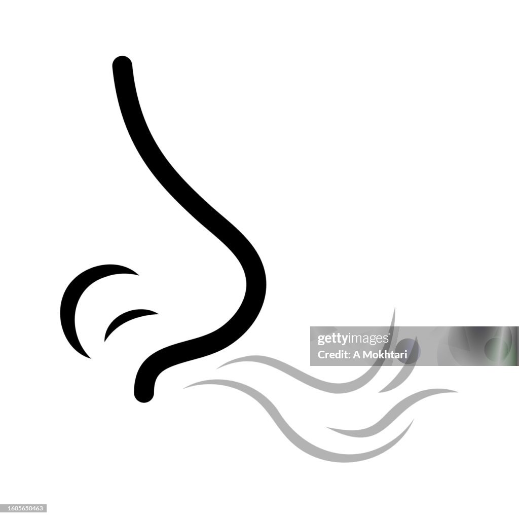 Geruch, Geruch, Geruch, Nase...