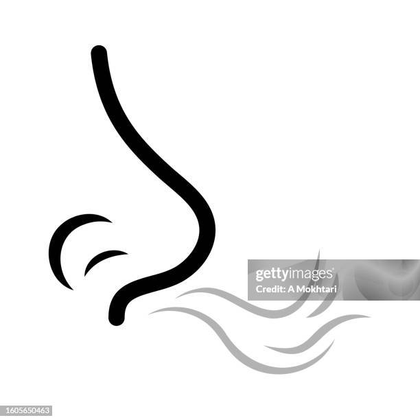 bildbanksillustrationer, clip art samt tecknat material och ikoner med smell, smelling an odor, nose... - lukta