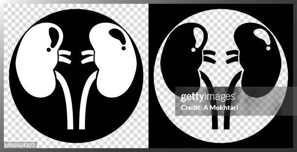 kidneys icon. - thyroid stock illustrations