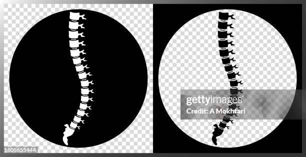 illustrations, cliparts, dessins animés et icônes de icône de la colonne vertébrale. - articulation-du-corps-humain