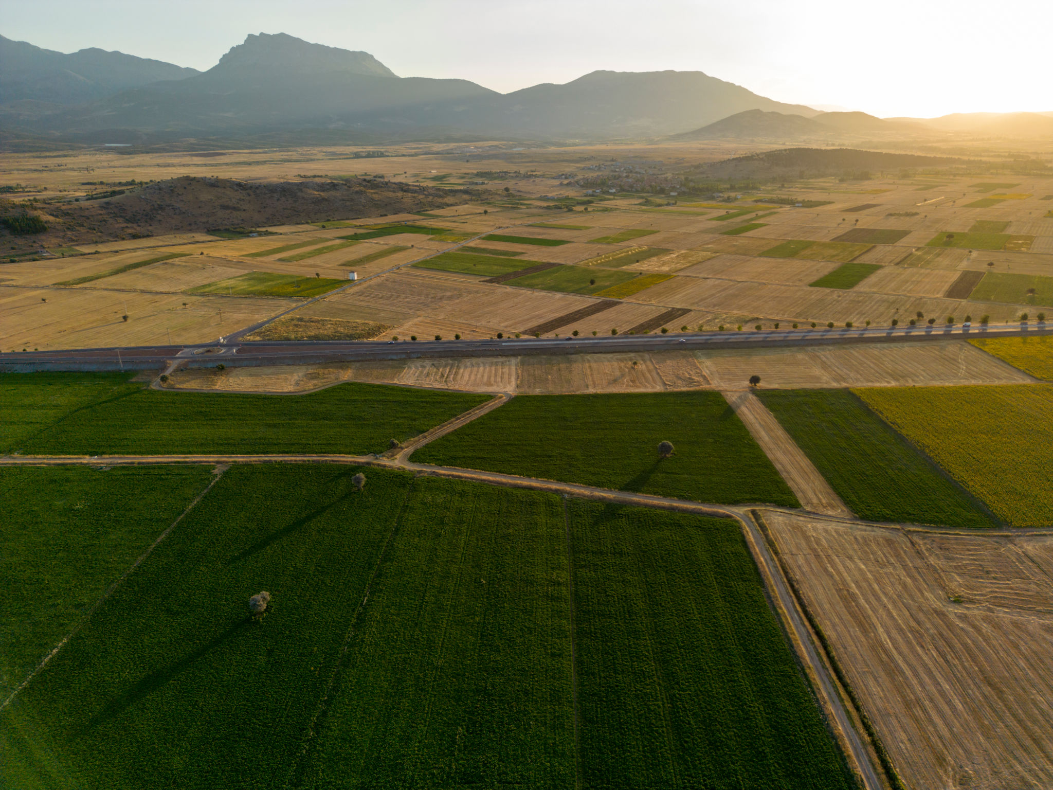 agroecology farming