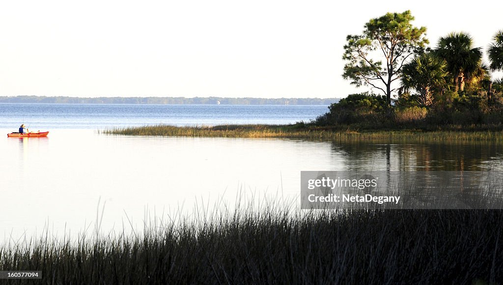 Reeds on lake edge and kayaker in Florida