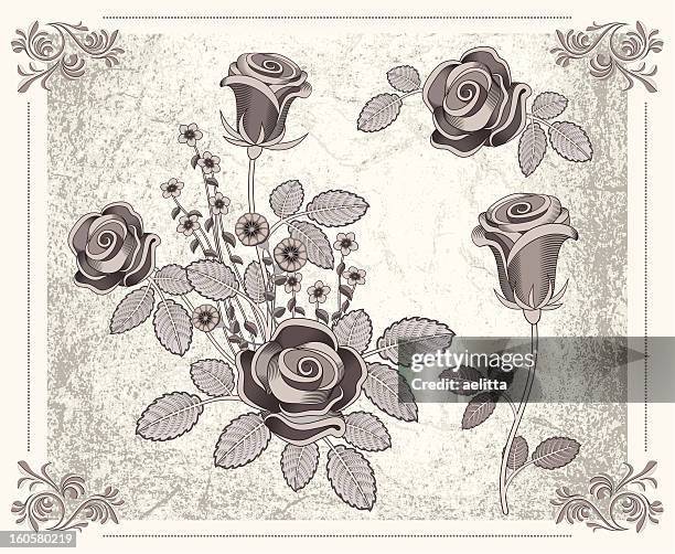 floral set - petunia stock illustrations