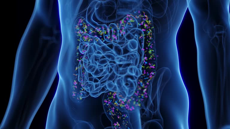 Normal Flora Animation Microbiome Graphic Videos and HD Footage - Getty Images