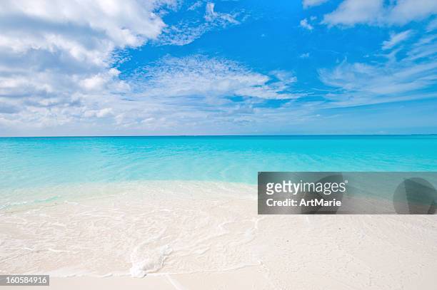 karibische meer - beach tropical deserted blue sky stock-fotos und bilder