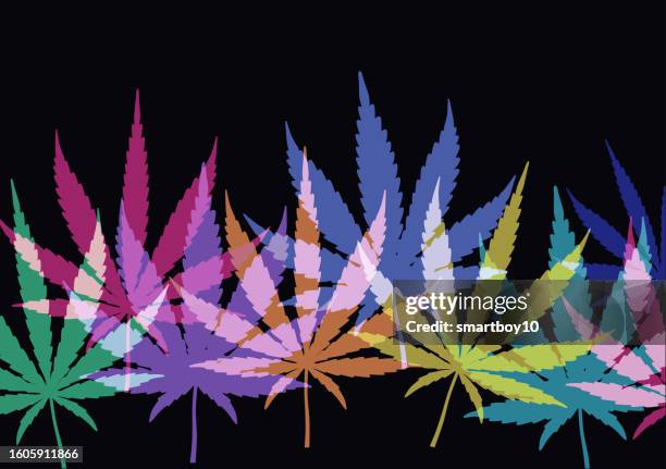 cannabis or marijuana leaves - cannabis sativa leaf stock illustrations