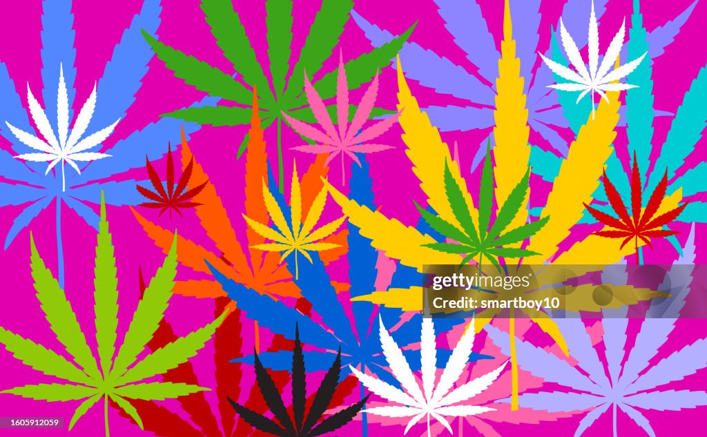 Cannabis or Marijuana Leaves