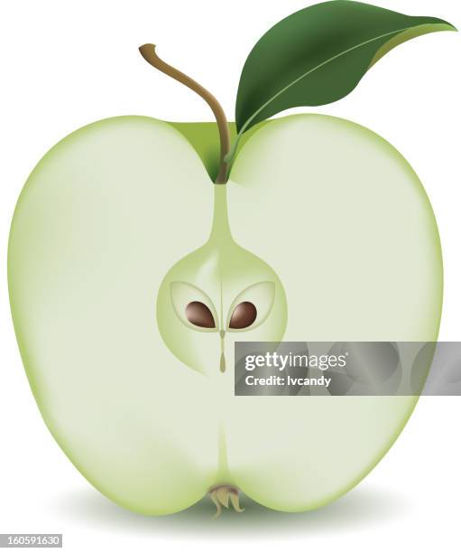 apple - cutting green apple stock illustrations
