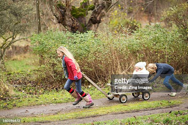 children playing with go cart outdoors - spingere carrello foto e immagini stock