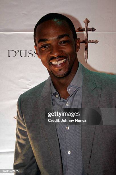 Anthony Mackie attends the Jay-Z & D'Usse Super Bowl Party at The Republic on February 2 in New Orleans, Louisiana.