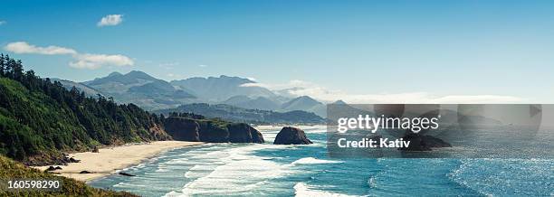 panoramic shot of cannon beach, oregon - pacific northwest stockfoto's en -beelden