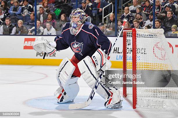 Goaltender Steve Mason of the Columbus Blue Jackets defends the net against the St. Louis Blues on January 31, 2013 at Nationwide Arena in Columbus,...