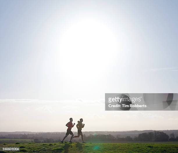 two joggers running on hill with low sun. - running in the sun stock-fotos und bilder