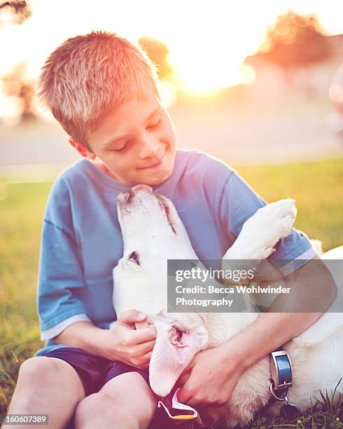 dog & boy! - clovis new mexico stock pictures, royalty-free photos & images