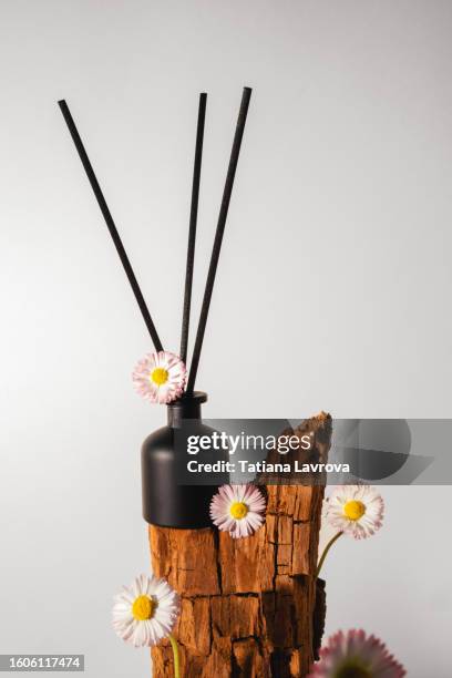 black matte glass aroma diffuser on a wooden snag. natural podium for beauty products. backdrop with empty space for text. - autumn makeup stockfoto's en -beelden