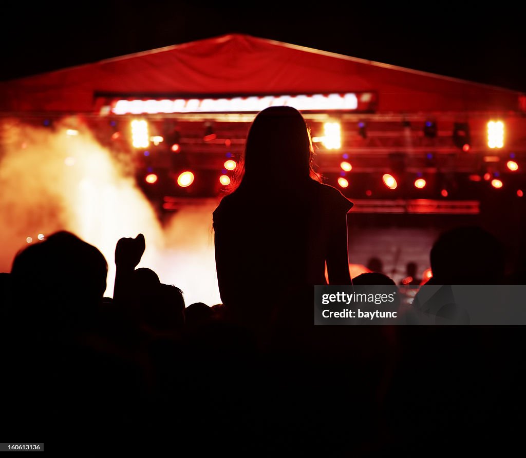 Concert Crowd