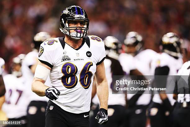 Billy Bajema of the Baltimore Ravens looks on against the San Francisco 49ers during Super Bowl XLVII at the Mercedes-Benz Superdome on February 3,...